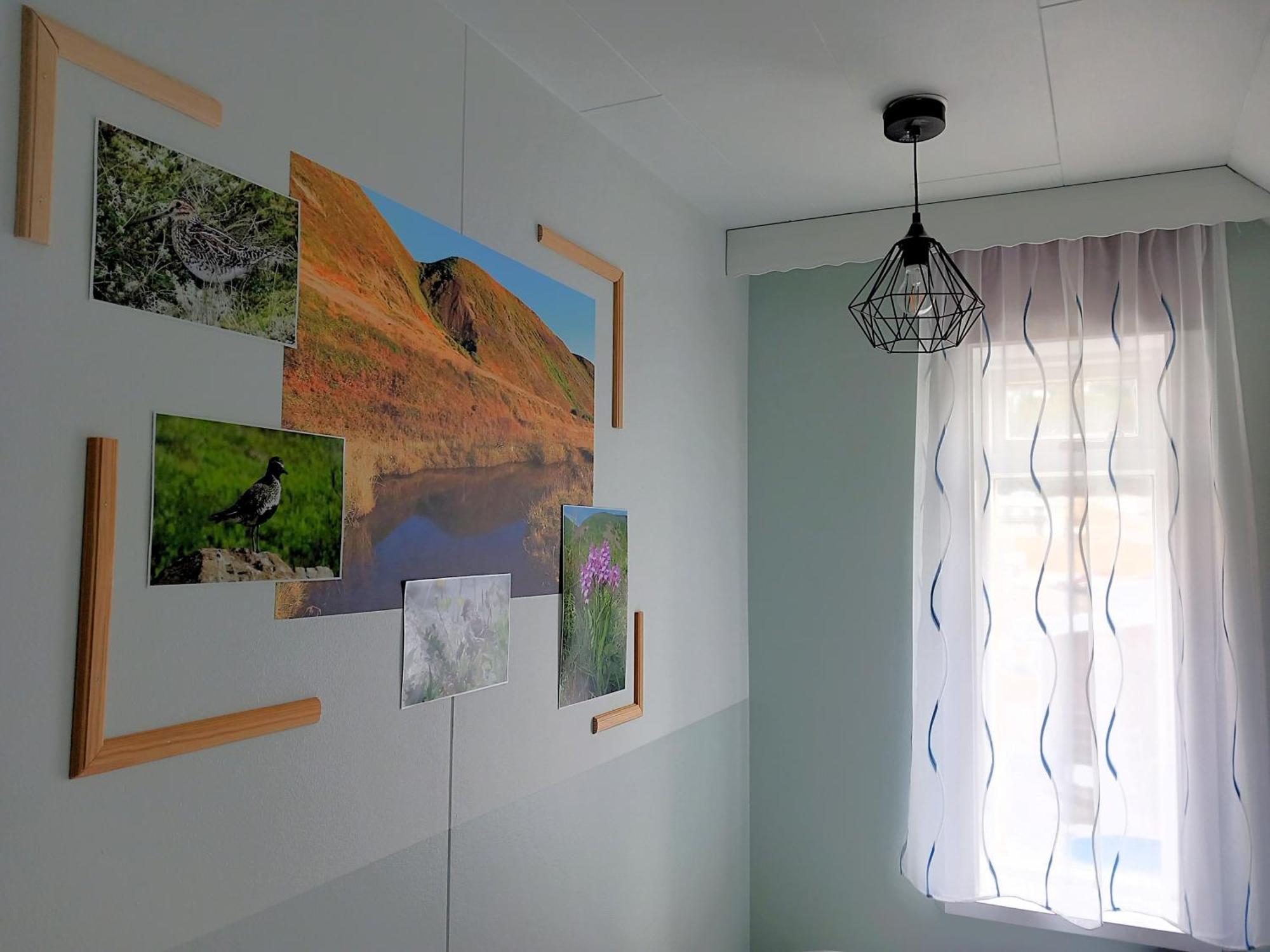 Husavik Green Hostel מראה חיצוני תמונה